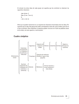 GuÍa Prepa UNAM 2020