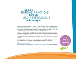 Guía de buenas prácticas para un uso responsable de la energía | PDF