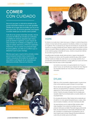 LA GUÍA VEGETARIANA PARA PRINCIPIANTES
Dylan es un chico encantador y despreocupado. Le gusta tomar
el sol, comer zanahorias y pasar el tiempo con sus amigos.
Pero la vida de este dulce gigante no siempre fue tan fantástica.
Nació en una granja lechera, lo separaron a rastras de su madre
después de un día de nacido para venderlo como carne de
ternera. Cuando una pareja compasiva hizo los arreglos para
rescatarlo, Dylan fue encontrado atado a un poste cubierto con
sus propias heces.
En una granja de terneros, Dylan hubiera sido encadenado por
el cuello en un corral, apenas más grande que su cuerpo, antes
de ser enviado al matadero, a tan solo 16 semanas de edad.
Las vacas lecheras como la madre de Dylan también sufren
vidas miserables. Como todos los mamíferos, las vacas
producen leche para sus bebés. Para poder seguir produciendo
leche, las vacas lecheras son inseminadas artificialmente cada
año. Las alojan en compartimentos muy pequeños y casi no
tienen espacio para moverse. Después de aproximadamente
cuatro años, las venden para ser sacrificadas.
Su historia no es nada más ni nada menos que un milagro. La vida de Hope ahora
consiste en tomar baños de tierra, posarse en los árboles y charlar con sus amigas
en el gallinero. Pero no siempre fue así. Hope fue encontrada en una pila de aves
muertas en una granja industrial de huevos. Apenas y seguía viva cuando un joven
defensor la rescató. Millones de gallinas como Hope están encarceladas cada año
en las modernas granjas industriales de huevos , donde no les permiten disfrutar
de casi todo lo que les es natural.
Las gallinas están hacinadas, donde cada ave tiene un espacio más pequeño
que un iPad para vivir toda su vida. No pueden extender las alas, andar ni buscar
comida. Cuando son bebés, les cortan el pico con una navaja candente. Es un
procedimiento extremadamente doloroso y muchas gallinas se mueren de hambre
porque hasta comer les causa un dolor insoportable.
Esto es lo que pasa: La vida de los animales en las
granjas industriales modernas no es nada agradable.
Olvídate de la imagen del corral idílico que ves en los
libros para niños. En términos generales, esos lugares
no existen desde que tus abuelos usaron pañales.
Cada día en las granjas industriales actuales, más de
cincuenta mil millones de animales son confinados
en establos sin ventanas, pequeñas cajas vacías y
jaulas de alambre mugrientas. La gran mayoría de
estos animales son mutilados sin analgésicos, se les
niega el cuidado veterinario y al final son asesinados.
Tristemente, casi no cuentan con protección legal.
En pocas palabras, sus vidas son un infierno que no
desearías ni para tu peor enemigo.
Mientras que la gran mayoría de los animales criados
para el consumo humano viven y mueren en la
miseria, unos pocos afortunados han escapado de
este destino cruel después de ser rescatados por
defensores animales. Éstas son sus historias.
HOPE
DYLAN
COMER
CON CUIDADO
Los machos nunca tienen una oportunidad de vivir. Ya que no
ponen huevos, son sacrificados poco después de nacer. Algunos
son triturados estando aún vivos. Otros mueren gaseados o
sofocados.
Arriba: la vida en una granja industrial
Abajo: libertad para Hope
Arriba: libre y tomar el sol
Abajo: la vida en una granja de terneros
LISTO PARA EL CAMBIO CUIDADO
 