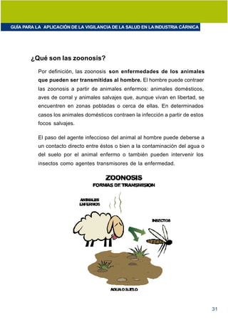GUÍA PARA LA APLICACIÓN DE LA VIGILANCIA DE LA SALUD EN LA INDUSTRIA CÁRNICA




        ¿Qué son las zoonosis?

           Por definición, las zoonosis son enfermedades de los animales
           que pueden ser transmitidas al hombre. El hombre puede contraer
           las zoonosis a partir de animales enfermos: animales domésticos,
           aves de corral y animales salvajes que, aunque vivan en libertad, se
           encuentren en zonas pobladas o cerca de ellas. En determinados
           casos los animales domésticos contraen la infección a partir de estos
           focos salvajes.

           El paso del agente infeccioso del animal al hombre puede deberse a
           un contacto directo entre éstos o bien a la contaminación del agua o
           del suelo por el animal enfermo o también pueden intervenir los
           insectos como agentes transmisores de la enfermedad.




                                                                                   31
 