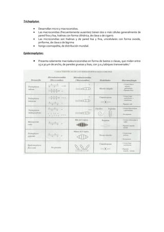 Trichophyton

       •   Desarrollan micro y macroconidios.
       •   Las macroconidias (frecuentemente ausentes) tienen dos o más células generalmente de
           pared fina y lisa, hialinas con forma cilíndrica, de clava o de cigarro.
       •   Las microconidias son hialinas y de pared lisa y fina, unicelulares con forma ovoide,
           piriforme, de clava o de lágrima
       •   hongo cosmopolita, de distribución mundial.

Epidermophyton:

       •   Presenta solamente macroaleuricoconidias en forma de bastos o clavas, que miden entre
           15 a 30 µm de ancho, de paredes gruesas y lisas, con 3 a 4 tabiques transversales.3
 