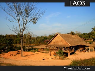 LAOS




rutabaobab.com
 