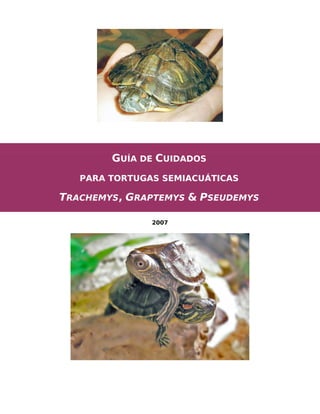 GUÍA DE CUIDADOS
   PARA TORTUGAS SEMIACUÁTICAS

TRACHEMYS, GRAPTEMYS & PSEUDEMYS

               2007
 