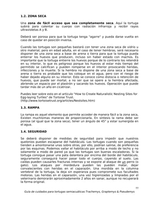 1.2. ZONA SECA

Una zona de fácil acceso que sea completamente seca. Aquí la tortuga
subirá para calentar su cuerpo con radiación infrarroja y recibir rayos
ultravioletas A y B.

Deberá ser porosa para que la tortuga tenga "agarre" y pueda darse vuelta en
caso de quedar en posición inversa.

Cuando las tortugas son pequeñas bastará con tener una zona seca de vidrio u
otro material, pero en edad adulta, en el caso de tener hembras, será necesario
disponer de una zona seca a base de arena o tierra para que la tortuga pueda
enterrar los huevos que producen, incluso sin haber estado con machos. Es
importante que la tortuga entierre los huevos porque de lo contrario los retendrá
en su interior, lo que es peligroso porque los huevos al estar más tiempo del
permitido se calcifican y pueden romperse en el interior provocando heridas,
infecciones y la muerte. Si la hembra no dispone de una zona seca a base de
arena o tierra es probable que los coloque en el agua, pero con el riesgo de
haber dejado alguno en su interior. Esto se conoce como distocia o retención de
huevos, que puede ser mortal, a no ser que se opere a la hembra afectada,
abriendo un espacio por el plastrón y sacando los huevos. Operación que puede
tardar más de un año en cicatrizar.

Puedes leer sobre esto en el artículo "How to Create Naturalistic Nesting Sites for
Egg-laying Turtles" de Tortoise Trust.
(http://www.tortoisetrust.org/articles/Nestsites.htm)

1.3. RAMPA

La rampa es aquel elemento que permite acceder de manera fácil a la zona seca,
Existen muchísimas maneras de proporcionarla. En síntesis la rama debe ser
porosa (al igual que la zona seca), tener un ángulo de 45° y estar sumergida en
el agua.

1.4. SEGURIDAD

Se deberá disponer de medidas de seguridad para impedir que nuestros
quelonios puedan escaparse del habitáculo. Las tortugas cuando son pequeñas
tienden a amontonarse unas sobre otras, por ello, podrían salirse, de preferencia
por las esquinas. Podemos vallar el habitáculo por arriba a modo de techo y no
solamente a modo de pared ya que las tortugas son buenas escaladoras. Si la
tortuga consigue pasar una pata delantera por encima del borde del habitáculo,
seguramente conseguirá hacer pasar todo el cuerpo, cayendo al suelo. Las
caídas pueden causarles fracturas internas y se expone al ataque de un perro (o
gato). Los ataques por mordedura pueden las pueden matar, dejar
convalecientes con heridas en el caparazón. Una mordida en la columna
vertebral de la tortuga, la deja sin esperanza pues compromete sus facultades
motoras. Las heridas en el caparazón, una vez higienizadas y limpiadas por el
veterinario demorarán aproximadamente 2 años en sanar, aunque no recuperará
la forma original.

                                                                                  11
  Guía de cuidados para tortugas semiacuáticas Trachemys, Graptemys & Pseudemys
 