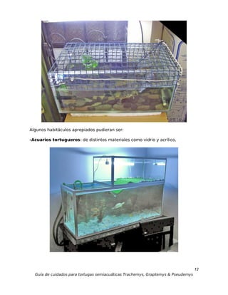 Algunos habitáculos apropiados pudieran ser:

-Acuarios tortugueros: de distintos materiales como vidrio y acrílico.




                                                                                  12
  Guía de cuidados para tortugas semiacuáticas Trachemys, Graptemys & Pseudemys
 