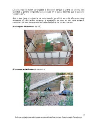 Los acuarios no deben ser dejados a pleno sol porque el vidrio se calienta con
facilidad y genera temperaturas excesivas en el agua, además que el agua se
“pone verde”.

Sobre usar tapa o cubierta, se recomienda prescindir de este elemento para
favorecer el intercambio gaseoso, a excepción de que se use para prevenir
corrientes de aire; aunque aún así debería abrirse de vez en cuando.

-Estanques interiores: de PVC.




-Estanque exteriores: de cemento.




                                                                                  13
  Guía de cuidados para tortugas semiacuáticas Trachemys, Graptemys & Pseudemys
 