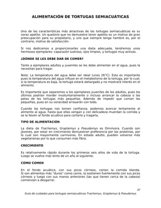 ALIMENTACIÓN DE TORTUGAS SEMIACUÁTICAS


Una de las características más atractivas de las tortugas semiacuáticas es su
voraz apetito. Un quelonio que no demuestre tener apetito es un motivo de gran
preocupación para su propietario, y uno que siempre tenga hambre es, por el
contrario, motivo de satisfacción.

Si nos dedicamos a proporcionarles una dieta adecuada, tendremos unos
hermosos ejemplares: caparazón lustroso, ojos limpios, y tortugas muy activas.

¿DÓNDE SE LES DEBE DAR DE COMER?

Tanto a ejemplares adultos y juveniles se les debe alimentar en el agua, pues la
necesitan para tragar.

Nota: La temperatura del agua debe ser ideal (unos 26°C). Esto es importante
pues la temperatura del agua influye en el metabolismo de la tortuga, por lo cual,
si la temperatura es baja, la tortuga estará aletargada y no mostrará interés en el
alimento.

Es importante que separemos a los ejemplares juveniles de los adultos, pues los
últimos podrían morder involuntariamente o incluso arrancar la cabeza o las
patas de las tortugas más pequeñas. Además de impedir que coman las
pequeñas, pues en su voracidad arrasarán con todo.

Cuando las tortugas nos tomen confianza, podemos acercar lentamente el
alimento al agua, hasta que ellas vengan y con delicadeza muerdan la comida y
se la lleven al fondo acuático para cortarla y tragarla.

TIPO DE ALIMENTACIÓN

La dieta de Trachemys, Graptemys y Pseudemys es Omnívora. Cuando son
jóvenes, por estar en crecimiento demuestran preferencia por las proteínas, por
lo cual son mayormente carnívoras. En estado adulto, pueden volverse más
vegetarianas por lo que consumen más fibra.

CRECIMIENTO

Es relativamente rápido durante los primeros seis años de vida de la tortuga.
Luego se vuelve más lento de un año al siguiente.

CÓMO COMEN

En el fondo acuático, con sus picos córneos, cortan la comida blanda.
Si son alimentos más "duros" como carne, la sostienen fuertemente con sus picos
córneos y luego con sus manos anteriores (las que tienen cerca de la cabeza)
comienzan a desgarrar.


                                                                                  27
  Guía de cuidados para tortugas semiacuáticas Trachemys, Graptemys & Pseudemys
 