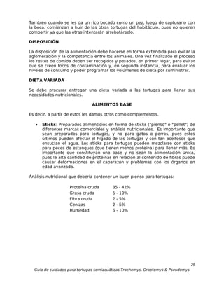 También cuando se les da un rico bocado como un pez, luego de capturarlo con
la boca, comienzan a huir de las otras tortugas del habitáculo, pues no quieren
compartir ya que las otras intentarán arrebatárselo.

DISPOSICIÓN

La disposición de la alimentación debe hacerse en forma extendida para evitar la
aglomeración y la competencia entre los animales. Una vez finalizado el proceso
los restos de comida deben ser recogidos y pesados, en primer lugar, para evitar
que se creen focos de contaminación y, en segunda instancia, para evaluar los
niveles de consumo y poder programar los volúmenes de dieta por suministrar.

DIETA VARIADA

Se debe procurar entregar una dieta variada a las tortugas para llenar sus
necesidades nutricionales.

                               ALIMENTOS BASE

Es decir, a partir de estos les damos otros como complementos.

   •   Sticks: Preparados alimenticios en forma de sticks ("pienso" o "pellet") de
       diferentes marcas comerciales y análisis nutricionales. Es importante que
       sean preparados para tortugas, y no para gatos o perros, pues estos
       últimos pueden afectar el hígado de las tortugas y son tan aceitosos que
       ensucian el agua. Los sticks para tortugas pueden mezclarse con sticks
       para peces de estanques (que tienen menos proteína) para llenar más. Es
       importante que constituyan una base y no sean la alimentación única,
       pues la alta cantidad de proteínas en relación al contenido de fibras puede
       causar deformaciones en el caparazón y problemas con los órganos en
       edad avanzada.

Análisis nutricional que debería contener un buen pienso para tortugas:

                    Proteína cruda       35 - 42%
                    Grasa cruda          5 - 10%
                    Fibra cruda          2 - 5%
                    Cenizas              2 - 5%
                    Humedad              5 - 10%




                                                                                  28
  Guía de cuidados para tortugas semiacuáticas Trachemys, Graptemys & Pseudemys
 