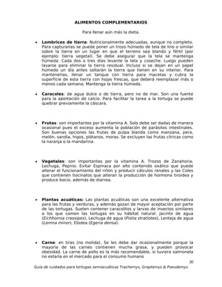 ALIMENTOS COMPLEMENTARIOS

                        Para llenar aún más la dieta.

•   Lombrices de tierra: Nutricionalmente adecuadas, aunque no completo.
    Para capturarlas se puede poner un trozo húmedo de tela de lino o similar
    sobre la tierra en un lugar en que el terreno sea blando y fértil (por
    ejemplo: tierra vegetal). Se debe asegurar que la tela se mantenga
    húmeda. Cada dos o tres días levante la tela y coseche. Luego pueden
    lavarse para eliminar la tierra residual. Incluso si se dejan en un papel
    húmedo un día antes soltarán la tierra que tienen en su interior. Para
    mantenerlas, llenar un tanque con tierra para macetas y cubra la
    superficie de esta tierra con hojas frescas, que deberá reemplazar más o
    menos cada semana. Mantenga la tierra húmeda.

•   Caracoles: de agua dulce o de tierra, pero no de mar. Son una fuente
    para la aportación de calcio. Para facilitar la tarea a la tortuga se puede
    quebrar previamente la cáscara.



•   Frutas: son importantes por la vitamina A. Solo debe ser dadas de manera
    ocasional pues el exceso aumenta la población de parásitos intestinales.
    Son buenas opciones las frutas de pulpa blanda como manzana, pera,
    melón, sandía, higos, plátanos, moras. Se excluyen las frutas cítricas como
    la naranja o la mandarina.



•   Vegetales: son importantes por la vitamina A. Trozos de Zanahoria,
    Lechuga, Pepino. Evitar Espinaca por alto contenido oxálico que puede
    alterar el funcionamiento del riñón y producir cálculos renales y las Coles
    que contienen tiocinatos que alteran la producción de hormona tiroidea y
    produce bocio, además de diarrea.



•   Plantas acuáticas: Las plantas acuáticas son una excelente alternativa
    para las frutas y verduras, y además gozan de mayor aceptación por parte
    de las tortugas. Suelen contener caracolitos y larvas de insectos similares
    a los que comen las tortugas en su hábitat natural. Jacinto de agua
    (Eichhornia crassipes), Lechuga de agua (Pistia stratiotes), Lenteja de agua
    (Lemna minor), Elodea (Egeria densa).



•   Carne: en tiras (no molida). Se les debe dar ocasionalmente porque la
    mayoría de las carnes contienen mucha grasa, y pueden provocar
    obesidad. La carne de pollo es la más recomendable, si tuviera salmonela
    no estaría en el mercado para el consumo humano
                                                                                30
Guía de cuidados para tortugas semiacuáticas Trachemys, Graptemys & Pseudemys
 