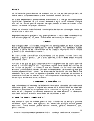 NOTAS

Se recomienda que en el caso de alimento vivo, se críe, en vez de capturarlo de
la naturaleza porque el silvestre puede transmitir muchos parásitos.

Se puede experimentar primeramente alimentando a la tortuga en un recipiente
aparte para aprender de qué manera ensucia el agua dicho alimento. Aunque
con mucho cuidado porque algunas tortugas pueden estresarse cuando se les
cambia de habitáculo y dejen de comer.

Sobre los insectos y las verduras se debe procurar que no contengan restos de
insecticidas ni pesticidas.

Importante recalcar que jamás hay que capturar de la naturaleza alimentos vivos
que estén bajo protección, tales como huevos de anfibios y sus renacuajos.

                                    CALCIO

Las tortugas están constituidas principalmente por caparazón, es decir, hueso. El
hueso es básicamente un compuesto de calcio y fósforo. Para constituir huesos
fuertes, el calcio ha de suministrarse en la correcta proporción con el fósforo
(Ca/P=2:1) en presencia de vitamina D.

El calcio puede suministrarse naturalmente con los peces, cuando comen las
espinas, y algunas plantas. Con la dieta correcta, no hace falta añadir ninguna
otra forma calcio.

Aún así, a los que les gusta asegurarse utilizan suplementos de calcio, como el
hueso o concha de sepia o jibia. Se pueden adquirir en la tienda de animales en
la sección de pájaros. Los correctos son los blancos. Los de color rosa están
tratados y contienen vitaminas, y no son recomendables. Se venden algunos que
vienen pegados en una “piedra” de minerales; en este caso sólo nos interesaría
la concha de la jibia. Si se recogen de la playa se deben lavar bien en agua dulce
antes de suministrarlos a las tortugas. Son muy buenos además porque ayudan a
las tortugas a afilar sus picos y sus uñas.

                        SUPLEMENTOS VITAMÍNICOS

Los suplementos vitamínicos se recomienda que sean utilizados bajo indicación
veterinaria para compensar alguna deficiencia en la alimentación. Se debe ser
cuidadoso porque el exceso puede causar trastornos al hígado y a los riñones.
Uno de los complejos vitamínicos conocidos es Sera Reptilin. Si deseamos
utilizarlos de todas maneras deberemos darlos una vez al mes.

ALIMENTOS NO RECOMENDADOS

Los alimentos que no forman parte la dieta natural de las tortugas podrían
causarles algún daño. Por ejemplo: las salchichas (porque tienen grasas
saturadas), jamón cocido, jamón serrano, quesos, galletas, chocolates, pan,
pizza, cereales.
                                                                                  32
  Guía de cuidados para tortugas semiacuáticas Trachemys, Graptemys & Pseudemys
 