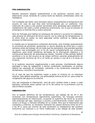 PRE-HIBERNACIÓN

Resulta necesario adaptar gradualmente a los quelonios cautivos para su
hibernación anual, teniendo en cuenta tanto los factores ambientales como los
fisiológicos.

Con la llegada del otoño, será necesario reducir gradualmente la temperatura del
acuario en caso de que éste esté termorregulado por un calefactor. Una
reducción de cuatro a seis grados semanales sería apropiada para estabilizar el
metabolismo del reptil y evitar problemas pulmonares; con lo que el proceso se
prolongará un total de tres a cuatro semanas.

Para las Tortugas que habiten en estanques de exterior o acuarios no caldeados,
este proceso se efectuará de forma natural, con la caída de las temperaturas. Si
el clima local es calido, no será adecuado enfriar artificial su hábitat para
provocar la hibernación.

A medida que la temperatura ambiental descienda, será limitado gradualmente
el suministro de alimentos, generando un ayuno absoluto de entre dos y cuatro
semanas antes del letargo, de tal modo que los ejemplares más grandes guarden
un ayuno más prolongado con el fin de vaciar completamente sus conductos
digestivos, para evitar problemas derivados de la interrupción digestiva y la
consecuente liberación de enterotoxinas letales. También el foto período deberá
acortarse si la luz del acuario es de origen artificial, parando gradualmente de
una exposición lumínica de 10 a 12 horas en verano a una de 6 a 8 horas en
invierno.

Si el quelonio reacciona negativamente a este proceso, manifestando alguna
patología o falta de adaptación a dichas condiciones cambiantes, el proceso
deberá ser abortado de inmediato, volviendo a las condiciones originales de
temperatura, nutrición e iluminación.

En el caso de que los quelonios vayan a pasar el invierno en un estanque
exterior, éste deberá presentar una profundidad mínima de 60 cm. para evitar la
congelación del agua en su entorno.

Una vez preparada la hibernación, será de gran utilidad medir y pesar a cada
ejemplar, anotando estos valores con el fin de valorar en la primavera cual ha
sido el efecto causado.

HIBERNACIÓN

Con la bajada definitiva de las temperaturas, por debajo de los 8º C (En
ocasiones con temperaturas ligeramente superiores), las Tortugas entrarán
espontáneamente en hibernación, ocupando la superficie del lecho en la parte
más profunda del lago, estanque o acuario y permaneciendo inmóvil sobre las
rocas o el fango, a menudo retraídas en su coraza. Para que la hibernación sea
constante y uniforme, es necesario mantener los valores térmicos entre los 2º C
y los 8º C, pues por encima de este parámetro el metabolismo del quelonio
consumirá sus reservas a un ritmo inadecuado y por debajo de éste pueden

                                                                                  36
  Guía de cuidados para tortugas semiacuáticas Trachemys, Graptemys & Pseudemys
 