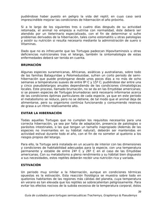 pudiéndose haber puesto en peligro la vida del reptil; en cuyo caso será
imprescindible mejorar las condiciones de hibernación el año próximo.

Si a lo largo de los siguientes tres o cuatro días después de su actividad
retomada, el animal no empieza a nutrirse con normalidad, éste deberá ser
atendido por un Veterinario especializado, con el fin de determinar si sufre
problemas derivados de la hibernación, tales como estomatitis u otras patologías
y asistir su nutrición si resulta necesario mediante la administración de suero o
Vitaminas.

Dado que no es infrecuente que las Tortugas padezcan Hipovitaminosis u otras
deficiencias nutricionales tras el letargo, también la sintomatología de estas
enfermedades deberá ser tenida en cuenta.

BRUMACIÓN

Algunas especies suramericanas, Africanas, asiáticas y australianas, sobre todo
de las familias Bataguridae y Pelomedusidae, sufren un corto periodo de semi-
hibernación que puede prolongarse desde unos pocos días a no más de ocho
semanas a temperaturas suaves de entre 8º C y 15º C; pudiéndose dar entre una
y cinco pseudoletargos anuales dependiendo de las condiciones climatológicas
locales. Este proceso, llamado brumación, no se da en las Emydidae americanas;
si se poseen especies de Tortugas brumadoras será necesario informarse acerca
de las condiciones óptimas particulares de cada especie, ya que en este periodo
el metabolismo se reduce, pero no se detiene, de tal modo que el animal deja de
alimentarse, pero su organismo continúa funcionando y consumiendo reservas
de grasa a un ritmo relativamente alto.

EVITAR LA HIBERNACIÓN

Todas aquellas Tortugas que no cumplan los requisitos necesarios para una
correcta hibernación, ya sea por falta de adaptación, presencia de patologías o
parásitos intestinales, o las que tengan un tamaño inapropiado (Además de las
especies no invernantes en su hábitat natural), deberán ser mantenidas en
actividad estival durante todo el año, con el fin de no someter al quelonio a los
riesgos propios del letargo.

Para ello, la Tortuga será instalada en un acuario de interior con las dimensiones
y condiciones de habitabilidad adecuadas para la especie, con una temperatura
permanente y estable de entre 24º C y 26º C en el caso de las Emydidae
americanas. Con su metabolismo a pleno rendimiento y su hábitat bien dispuesto
a sus necesidades, estos reptiles deberán recibir una nutrición rica y variada.

ESTIVACIÓN

Un periodo muy similar a la hibernación, aunque en condiciones térmicas
opuestas es la estivación. Esta reacción fisiológica se muestra sobre todo en
quelonios habitantes de las regiones más cálidas del planeta, cuya temperatura
en verano es tan elevada que los reptiles se sobrecalientan peligrosamente. Para
evitar los efectos nocivos de la subida excesiva de la temperatura corporal, éstos

                                                                                  39
  Guía de cuidados para tortugas semiacuáticas Trachemys, Graptemys & Pseudemys
 