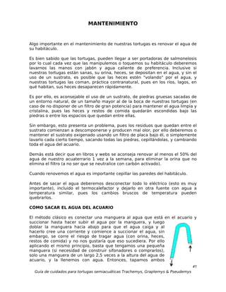 MANTENIMIENTO


Algo importante en el mantenimiento de nuestras tortugas es renovar el agua de
su habitáculo.

Es bien sabido que las tortugas, pueden llegar a ser portadoras de salmonelosis
por lo cual cada vez que las manipulemos o toquemos su habitáculo deberemos
lavarnos las manos con jabón y agua caliente de preferencia. Inclusive si
nuestras tortugas están sanas, su orina, heces, se depositan en el agua, y sin el
uso de un sustrato, es posible que las heces estén "volando" por el agua, y
nuestras tortugas las coman, práctica contranatural, pues en los ríos, lagos, en
qué habitan, sus heces desaparecen rápidamente.

Es por ello, es aconsejable el uso de un sustrato, de piedras gruesas sacadas de
un entorno natural, de un tamaño mayor al de la boca de nuestras tortugas (en
caso de no disponer de un filtro de gran potencia) para mantener el agua limpia y
cristalina, pues las heces y restos de comida quedarán escondidas bajo las
piedras o entre los espacios que quedan entre ellas.

Sin embargo, esto presenta un problema, pues los residuos que quedan entre el
sustrato comienzan a descomponerse y producen mal olor, por ello deberemos o
mantener el sustrato oxigenado usando un filtro de placa bajo él, o simplemente
lavarlo cada cierto tiempo, sacando todas las piedras, cepillándolas, y cambiando
toda el agua del acuario.

Demás está decir que en libros y webs se aconseja renovar al menos el 50% del
agua de nuestro acuaterrario 1 vez a la semana, para eliminar la orina que no
elimina el filtro (a no ser que se neutralice con carbón activado).

Cuando renovemos el agua es importante cepillar las paredes del habitáculo.

Antes de sacar el agua deberemos desconectar todo lo eléctrico (esto es muy
importante), incluido el termocalefactor y dejarlo en otra fuente con agua a
temperatura similar, pues los cambios bruscos de temperatura pueden
quebrarlos.

CÓMO SACAR EL AGUA DEL ACUARIO

El método clásico es conectar una manguera al agua que está en el acuario y
succionar hasta hacer subir el agua por la manguera, y luego
doblar la manguera hacia abajo para que el agua caiga y al
hacerlo cree una corriente y comience a succionar el agua, sin
embargo, se corre el riesgo de tragar agua (con orina, heces,
restos de comida) y no nos gustaría que eso sucediera. Por ello
aplicando el mismo principio, basta que tengamos una pequeña
manguera (si necesidad de construir sifonadores o comprarlos),
solo una manguera de un largo 2,5 veces a la altura del agua de
acuario, y la llenemos con agua. Entonces, tapamos ambos
                                                                                  41
  Guía de cuidados para tortugas semiacuáticas Trachemys, Graptemys & Pseudemys
 