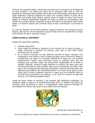 orificios con nuestros dedos, colocamos una parte de la manguera en el fondo de
la zona acuática, y la parte que resta de la manguera que será el 75% de
longitud la colocamos hacia afuera del acuaterrario hacia abajo, apuntando hacia
algún deposito, entonces dejamos de tapar con nuestros dedos la parte de la
manguera que quedó hacia afuera, porque cómo es lógico el agua caerá hacia
abajo, de manera instantánea dejamos de tapar la parte de la manguera que
quedó en la zona acuática, entonces el agua por efecto de gravedad caerá hacia
abajo y al hacerlo creará una corriente hacia arriba y comenzará a succionar el
agua.

En caso de disponer de un filtro externo, bastará conectar una manguera hacia
afuera, para que en vez de devolver el agua filtrada hacia el acuaterrario, lo haga
hacia afuera, es decir, sacando el agua.

CÓMO LAVAR EL SUSTRATO

Existen los siguientes métodos:

   •   Cepillar cada pieza.
   •   Sacar todas las piedras y dejarlas en una fuente con un poco de agua, y
       luego comenzar a revolver las piedras, para que el roce entre estas
       provoque que se limpien.
   •   En el mismo momento en que estemos sacando el agua, conectar una
       manguera a una cañería y abrir el paso del agua, para comenzar a llenar el
       acuaterrario con agua, al comienzo liberemos el agua con una presión
       relativamente fuerte, para apuntarla hacia el sustrato para que los
       residuos que contiene, dejen de encontrarse suspendidos en el fondo y
       queden flotando, entonces luego bajamos la presión del agua para que
       continúe llenando la zona acuática, pero que se mantenga, sin subir, para
       que la otra manguera que tenemos conectada, continúe sacando agua. Así
       dejamos este sistema de "retroalimentación" en el que entra agua, y sale,
       cada cierto tiempo, podemos apuntar el agua que va entrando hacia el
       sustrato para que liberen los residuos, y así, unos 15 minutos, el agua del
       acuario, y el sustrato quedará limpio.

Luego de tener limpio el sustrato y las paredes del habitáculo cepilladas, es
necesario dejar el agua en la temperatura ideal (26°C) y añadir unas gotas de
anticloro, para neutralizar el cloro, o simplemente, dejar nuestras tortugas en
otro depósito 24 horas, para que el muy volátil cloro se evapore.




                                                     Escrito por Carlos Montiers A.
                                                                                  42
  Guía de cuidados para tortugas semiacuáticas Trachemys, Graptemys & Pseudemys
 