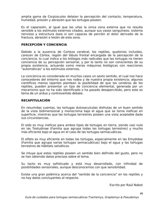 amplia gama de Corpúsculos delatan la percepción del contacto, temperatura,
humedad, presión y abrasión que las tortugas poseen.

Es el caparazón, al igual que las uñas la única zona externa que no resulta
sensible a los estímulos externos citados, aunque sus vasos sanguíneos, sistema
nervioso y estructura ósea si son capaces de percibir el dolor derivado de la
fractura, abrasión o lesión de esta zona.

PERCEPCIÓN Y CONCIENCIA

Debido a la ausencia de Corteza cerebral, los reptiles, quelonios incluidos,
carecen de Córtex, región del lóbulo frontal encargada de la percepción de la
conciencia, lo cual indica a los biólogos más radicales que las tortugas no tienen
conciencia de su percepción sensorial, y por lo tanto no son conscientes de su
propia existencia, actuando como meras máquinas biológicas con reacciones
"automáticas" a los estímulos externos.

La conciencia es considerada en muchos casos un sexto sentido, el cual nos hace
conocedores del entorno que nos rodea y de nuestra propia existencia; algunos
científicos menos tajantes plantean la posibilidad de que los cerebros de los
reptiles, pueden presentar un tipo de conciencia elemental, generada por un
mecanismo que no ha sido identificado o ha pasado desapercibido, pero este es
tema de un arduo y controvertido debate.

RECAPITULACIÓN

En resumidas cuentas, las tortugas dulceacuícolas disfrutas de un buen sentido
de la vista bidimensional y monocroma bajo el agua que se torna ineficaz en
superficie, mientras que las tortugas terrestres poseen una vista aceptable dada
sus circunstancias.

El oído es muy ineficaz para ambos tipos de tortugas en tierra, siendo casi nulo
en las Testudinae (Familia que agrupa todas las tortugas terrestres) y mucho
más eficiente bajo el agua en el caso de las tortugas semiacuáticas.

El olfato es muy eficiente en todas las tortugas, especialmente en las Emydidae
(Familia que agrupa varias tortugas semiacuáticas) bajo el agua y las tortugas
terrestres de hábitats selváticos.

Se intuye que estos reptiles poseen un sentido bien definido del gusto, pero no
se han obtenido datos precisos sobre el tema.

Su tacto es muy sofisticado y está muy desarrollado, con infinidad de
posibilidades sensoriales, aunque desconocemos con que sensibilidad.

Existe una gran polémica acerca del "sentido de la conciencia" en los reptiles y
no hay datos concluyentes al respecto.

                                                           Escrito por Raúl Nabot

                                                                                  46
  Guía de cuidados para tortugas semiacuáticas Trachemys, Graptemys & Pseudemys
 