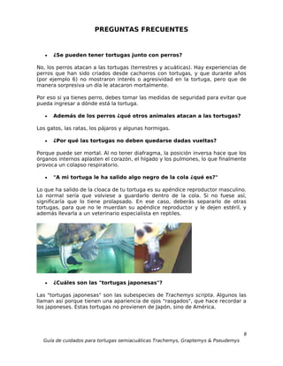 PREGUNTAS FRECUENTES


   •   ¿Se pueden tener tortugas junto con perros?

No, los perros atacan a las tortugas (terrestres y acuáticas). Hay experiencias de
perros que han sido criados desde cachorros con tortugas, y que durante años
(por ejemplo 6) no mostraron interés o agresividad en la tortuga, pero que de
manera sorpresiva un día le atacaron mortalmente.

Por eso si ya tienes perro, debes tomar las medidas de seguridad para evitar que
pueda ingresar a dónde está la tortuga.

   •   Además de los perros ¿qué otros animales atacan a las tortugas?

Los gatos, las ratas, los pájaros y algunas hormigas.

   •   ¿Por qué las tortugas no deben quedarse dadas vueltas?

Porque puede ser mortal. Al no tener diafragma, la posición inversa hace que los
órganos internos aplasten el corazón, el hígado y los pulmones, lo que finalmente
provoca un colapso respiratorio.

   •   "A mi tortuga le ha salido algo negro de la cola ¿qué es?"

Lo que ha salido de la cloaca de tu tortuga es su apéndice reproductor masculino.
Lo normal sería que volviese a guardarlo dentro de la cola. Si no fuese así,
significaría que lo tiene prolapsado. En ese caso, deberás separarlo de otras
tortugas, para que no le muerdan su apéndice reproductor y le dejen estéril, y
además llevarla a un veterinario especialista en reptiles.




   •   ¿Cuáles son las "tortugas japonesas"?

Las "tortugas japonesas" son las subespecies de Trachemys scripta. Algunos las
llaman así porque tienen una apariencia de ojos "rasgados", que hace recordar a
los japoneses. Estas tortugas no provienen de Japón, sino de América.




                                                                                  8
  Guía de cuidados para tortugas semiacuáticas Trachemys, Graptemys & Pseudemys
 