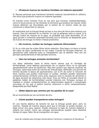 •   ¿Producen huevos las hembras Emídidas sin haberse apareado?

Si. Muchas personas que mantienen hembras maduras sexualmente en solitario,
han dicho que producen huevos sin haberse apareado.

En fuentes como Tortoise Trust se nos dice que Factores medioambientales,
como la lluvia activan en las hembras la hormona que produce los huevos. Estos
huevos deberían ser fecundados por el semen de un macho, antes de que
comiencen a desarrollar la cáscara.

Es importante que la tortuga tenga acceso a una zona de tierra para enterrar sus
huevos. Sino los retendrá en su interior, lo cual es peligroso para su salud. Si la
tortuga coloca los huevos en el agua, es probable que sean devorados. En el
agua girarán e invertirán polaridad haciendo que el embrión se desprenda pues
los huevos de tortuga no tienen chalaza protectora.

   •   ¿En invierno, reciben las tortugas radiación Ultravioleta?

Sí. Es un mito que las nubes filtren dicha radiación. Ésta llega a la tierra a través
del vapor de agua condensado en las nubes. Cuando las tortugas hibernan, no
aprovechan esta radiación pues su metabolismo casi se detiene. Pero aún así
perciben perfectamente el foto período lumínico.

   •   ¿Son las tortugas animales territoriales?

Los datos obtenidos hasta la fecha hacen pensar que el concepto de
territorialidad, como defensa permanente de un espacio físico no es aplicable
apropiadamente entre los Quelonios. Más bien parece que algunas especies de
Tortugas, sobre todo entre los machos de Testudinidae, defienden una porción de
terreno durante la época de apareamiento, con el fin de evitar la intrusión de
otros machos que puedan interrumpir el cortejo. También pueden observarse
comportamientos similares entre otras especies ante la escasez de alimentos o
de agua durante las estaciones más secas. Para ser fieles al concepto literal no
podemos hablar de territorialidad cuando tratamos con Tortugas, aunque en
realidad si existen comportamientos en determinadas especies y temporadas
concretas en las que si podría hacerse referencia a dicho comportamiento.
Respondido por Raúl Nabot.

   •   ¿Debe dejarse que caminen por los pasillos de la casa?

No se recomienda por las corrientes de aire.

   •   ¿Cómo pueden transportarse estas tortugas?

En una fuente plástica de tamaño tal que la tortuga pueda girar, pero no
caminar. Tapada de manera segura para que la tortuga no pueda escapar. Le
debe entrar aire para respirar. Puede colocarse la tapa de manera diagonal y
sellarla con scotch. Como son tortugas semiacuáticas pueden estar bastante
tiempo sin agua. Nota: No se transportan con agua.

                                                                                   9
  Guía de cuidados para tortugas semiacuáticas Trachemys, Graptemys & Pseudemys
 