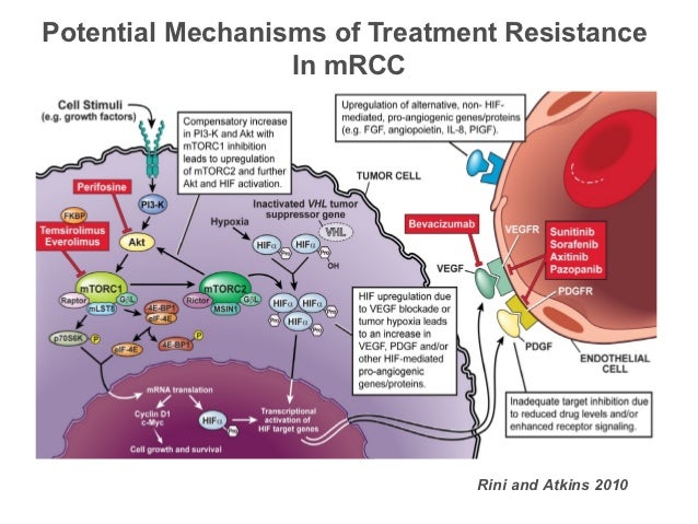 Mechanism of resistance to target therapy