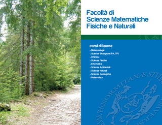 Facoltà di
Scienze Matematiche
Fisiche e Naturali

corsi di laurea
• Biotecnologie
• Scienze Biologiche (PA, TP)
• Chimica
• Scienze Fisiche
• Informatica
• Scienze Ambientali
• Scienze Naturali
• Scienze Geologiche
• Matematica
 