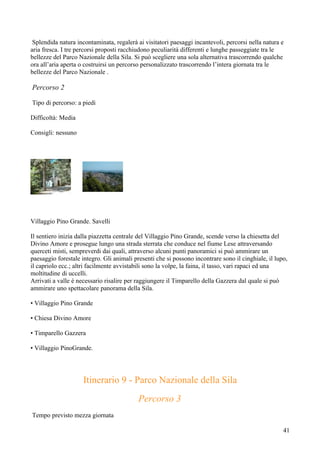 Splendida natura incontaminata, regalerà ai visitatori paesaggi incantevoli, percorsi nella natura e
aria fresca. I tre percorsi proposti racchiudono peculiarità differenti e lunghe passeggiate tra le
bellezze del Parco Nazionale della Sila. Si può scegliere una sola alternativa trascorrendo qualche
ora all’aria aperta o costruirsi un percorso personalizzato trascorrendo l’intera giornata tra le
bellezze del Parco Nazionale .

Percorso 2

Tipo di percorso: a piedi

Difficoltà: Media

Consigli: nessuno




Villaggio Pino Grande. Savelli

Il sentiero inizia dalla piazzetta centrale del Villaggio Pino Grande, scende verso la chiesetta del
Divino Amore e prosegue lungo una strada sterrata che conduce nel fiume Lese attraversando
querceti misti, sempreverdi dai quali, attraverso alcuni punti panoramici si può ammirare un
paesaggio forestale integro. Gli animali presenti che si possono incontrare sono il cinghiale, il lupo,
il capriolo ecc.; altri facilmente avvistabili sono la volpe, la faina, il tasso, vari rapaci ed una
moltitudine di uccelli.
Arrivati a valle è necessario risalire per raggiungere il Timparello della Gazzera dal quale si può
ammirare uno spettacolare panorama della Sila.

• Villaggio Pino Grande

• Chiesa Divino Amore

• Timparello Gazzera

• Villaggio PinoGrande.




                     Itinerario 9 - Parco Nazionale della Sila
                                           Percorso 3
Tempo previsto mezza giornata

                                                                                                     41
 