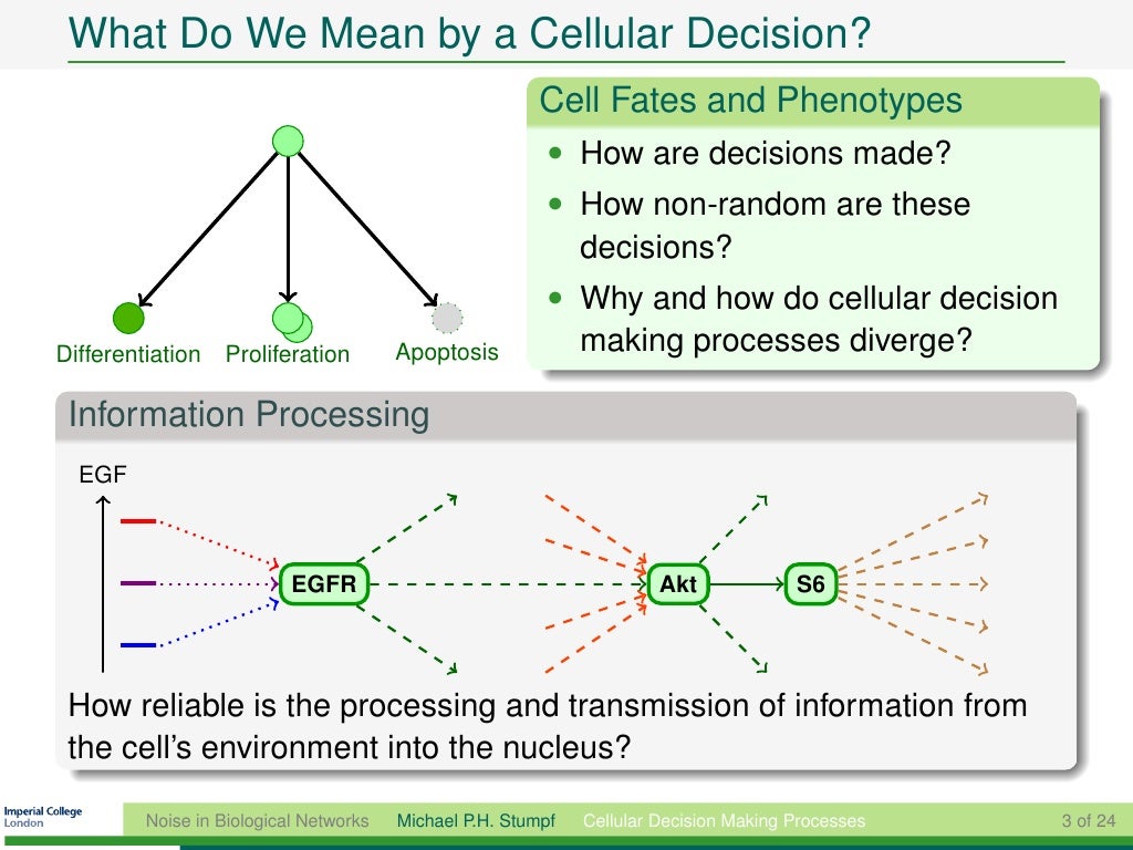 Noisy information transmission through molecular interaction networks