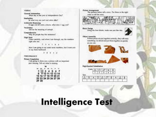 Intelligence Test
 