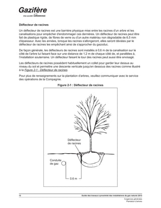 12 Guide des travaux à proximité des installations de gaz naturel 2013
Exigences générales
Plantation d’arbres
Déflecteur de racines
Un déflecteur de racines est une barrière physique mise entre les racines d’un arbre et les
canalisations pour empêcher d’endommager ces dernières. Un déflecteur de racines peut être
fait de plastique rigide, de fibres de verre ou d’un autre matériau non dégradable de 6,5 mm
d’épaisseur. Avec les années, lorsque les racines s’allongeront, elles seront déviées par le
déflecteur de racines les empêchant ainsi de s’approcher du gazoduc.
De façon générale, les déflecteurs de racines sont installés à 0,6 m de la canalisation sur le
côté de l’arbre lui faisant face sur une distance de 1,2 m de chaque côté de, et parallèles à,
l’installation souterraine. Un déflecteur faisant le tour des racines peut aussi être envisagé.
Les déflecteurs de racines possèdent habituellement un collet pour garder leur dessus au
niveau du sol et permettre une descente verticale jusqu’en dessous des racines comme illustré
à la Figure 2-1 : Déflecteur de racines.
Pour plus de renseignements sur la plantation d’arbres, veuillez communiquer avec le service
des opérations de la Compagnie.
Figure 2-1 : Déflecteur de racines
0.6 m
Conduite
de gaz
Déflecteur
de racines
 