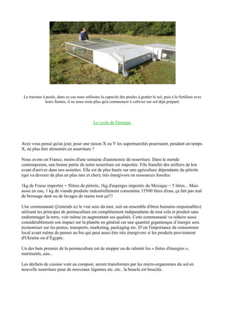 Le tracteur à poule, dans ce cas nous utilisons la capacité des poules à gratter le sol, puis à le fertiliser avec
leurs fientes, il ne nous reste plus qu'à commencer à cultiver sur sol déjà préparé.
Le cycle de l'énergie
Avez vous pensé qu'un jour, pour une raison X ou Y les supermarchés pourraient, pendant un temps
X, ne plus être alimentés en nourriture ?
Nous avons en France, moins d'une semaine d'autonomie de nourriture. Dans le monde
contemporain, une bonne partie de notre nourriture est importée. Elle franchit des milliers de km
avant d'arriver dans nos assiettes. Elle est de plus basée sur une agriculture dépendante du pétrole
(qui va devenir de plus en plus rare et cher), très énergivore en ressources fossiles:
1kg de Fraise importée = 5litres de pétrole, 1kg d'asperges importés du Mexique = 5 litres... Mais
aussi en eau, 1 kg de viande produite industriellement consomme 15500 litres d'eau, ça fait pas mal
de brossage dent ou de lavages de mains tout ça!!!
Une communauté (j'entends ici le vrai sens du mot, soit un ensemble d'êtres humains responsables)
utilisant les principes de permaculture est complètement indépendante de tout cela et produit sans
endommager la terre, voir même en augmentant ses qualités. Cette communauté va réduire aussi
considérablement son impact sur la planète en général car une quantité gigantesque d’énergie sera
économiser sur les postes, transports, marketing, packaging etc. D’où l'importance de consommer
local avant même de penser au bio qui peut aussi être très énergivore si les produits proviennent
d'Ukraine ou d’Égypte.
Un des buts premier de la permaculture est de stopper ou de ralentir les « fuites d'énergies »,
nutriments, eau...
Les déchets de cuisine vont au compost, seront transformés par les micro-organismes du sol en
nouvelle nourriture pour de nouveaux légumes etc..etc.. la boucle est bouclée.
 