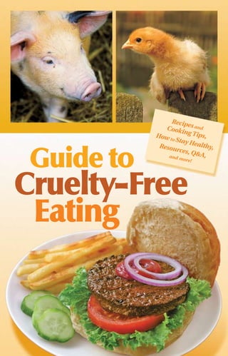 Recip
                        e
               Cooki s and
                       ng Tip
            How t             s,
                  o Sta
                       y Hea
             Resou           lthy,


 Guide to
                    rces, Q
                an d m     &A,
                      ore!




Cruelty-Free
 Eating
 