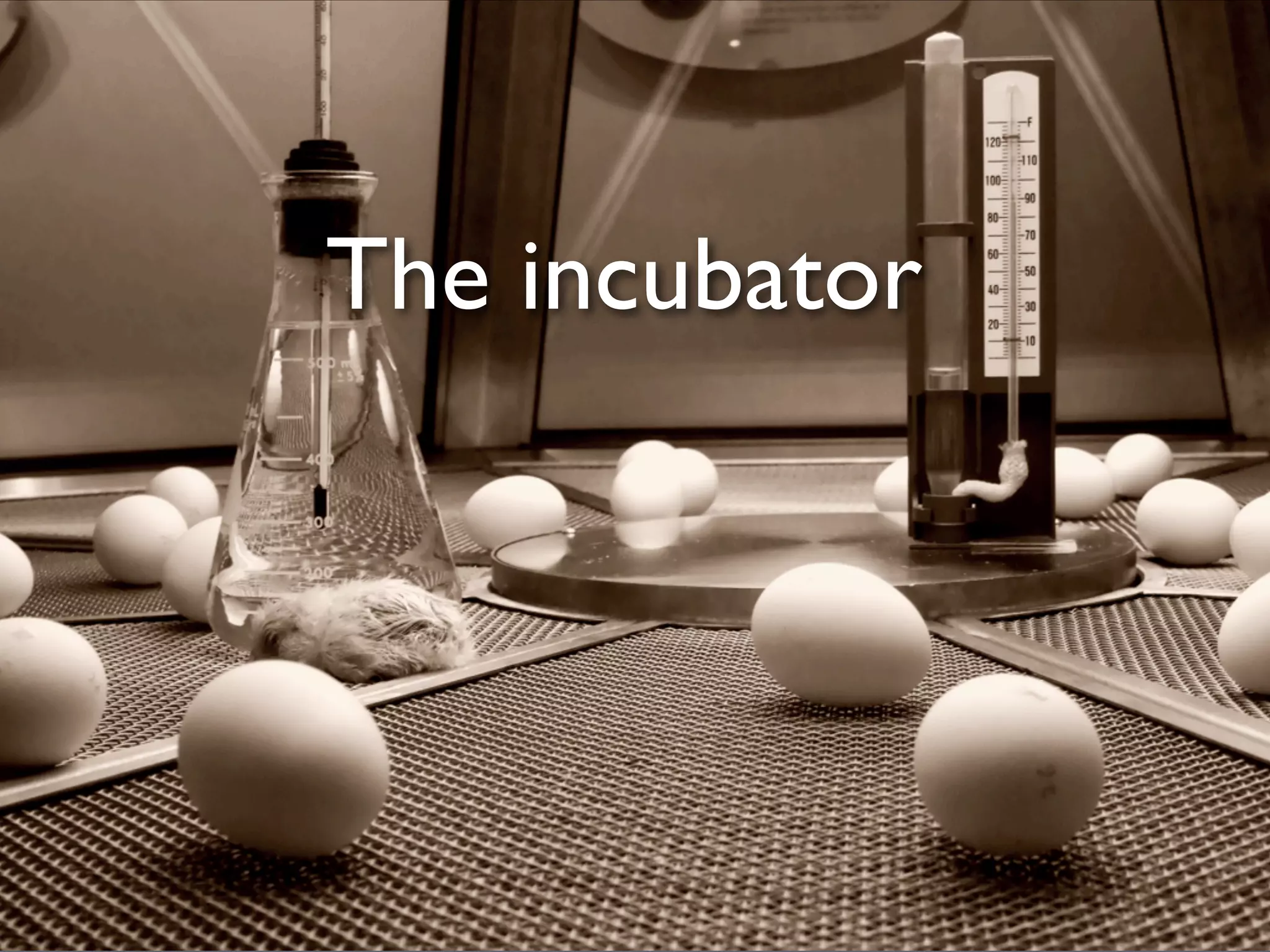 Guide To Successful Graduation at Apache