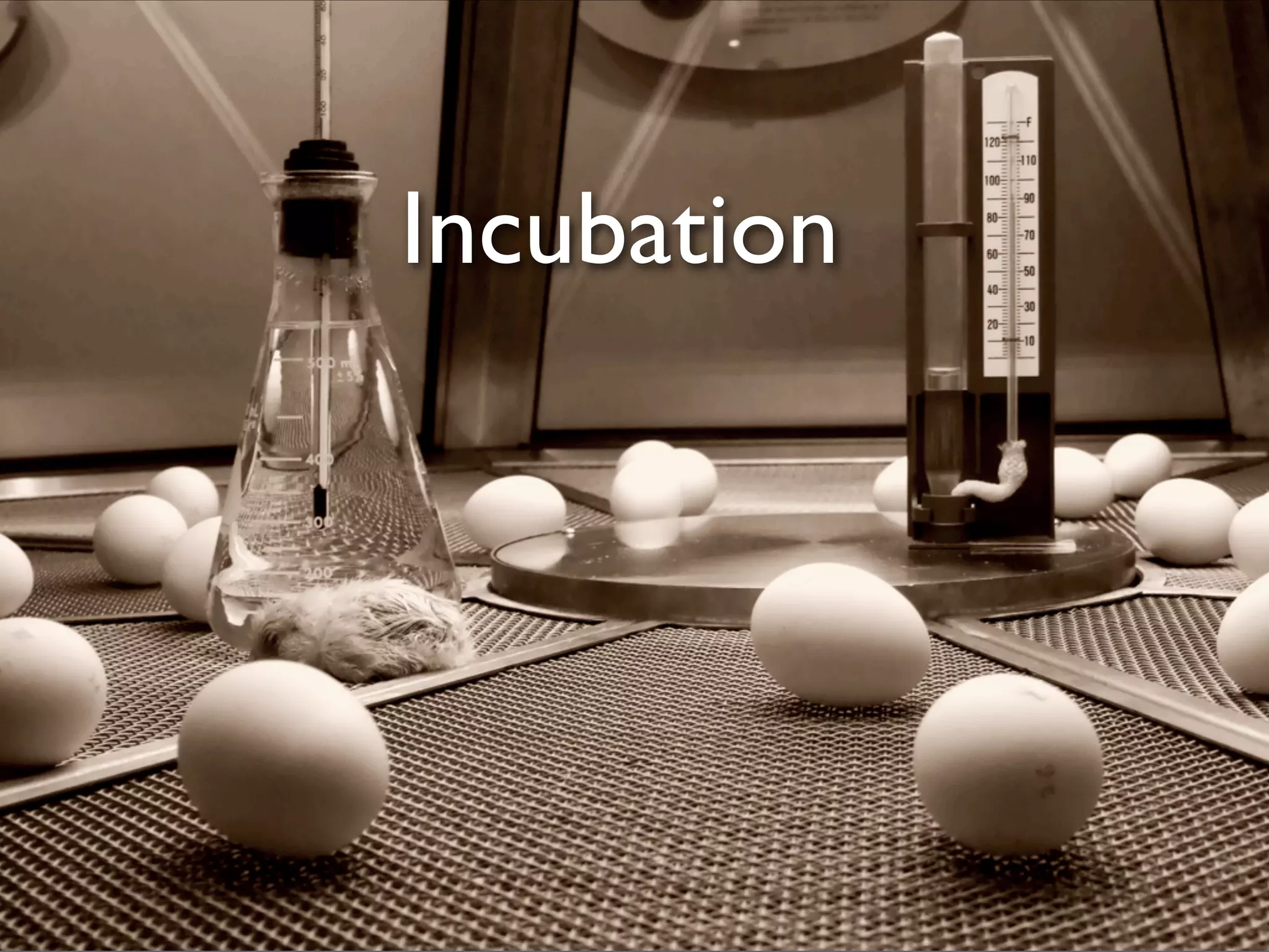 Guide To Successful Graduation at Apache