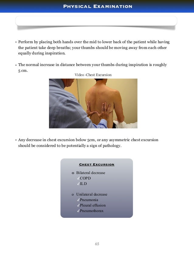 A Guide to the Physical Examination By Dr. Sam Gharbi