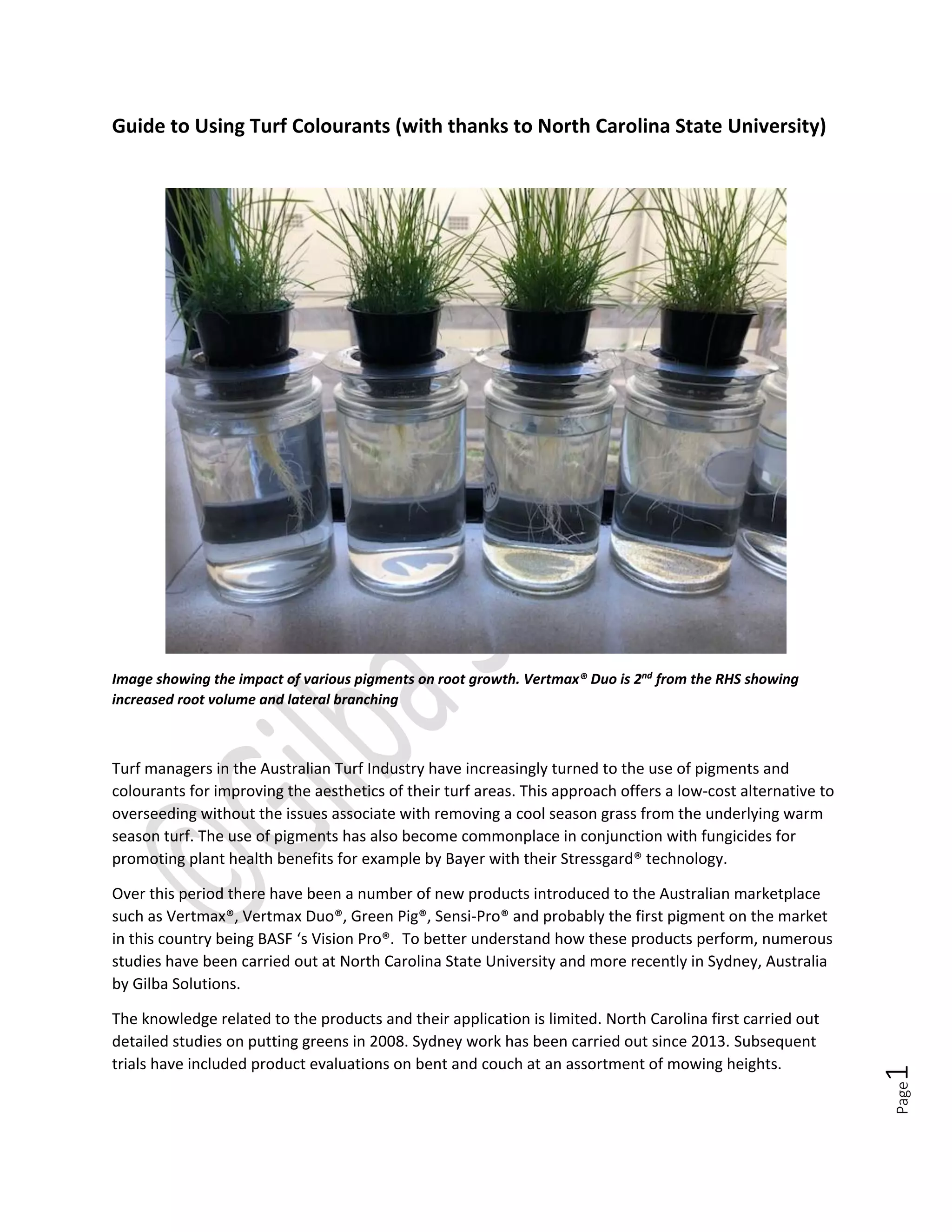 Guide-to-Using-Turf-Colorants.pdf