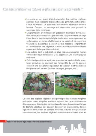 00_001-024-NatureParif_Mise en page 1 21/10/11 10:50 Page8




  Comment améliorer les toitures végétalisées pour la biodiversité ?

                               ● Le semis permet quant à lui de diversifier les espèces végétales
                                 plantées mais nécessite des conditions de germination et de crois-
                                 sance optimales : un substrat suffisamment rétenteur d’eau et
                                 humide. Souvent, un arrosage est nécessaire pour garantir le
                                 succès de cette technique.
                               ● Les plantations en mottes ou en godet sont des modes d’implanta-
                                 tion ponctuels de végétaux pré-cultivés. Ils permettent un large
                                 choix dans la palette végétale (plantes locales, mais également les
                                 sédums pour les zones à faible hauteur de substrat). La couverture
                                 végétale est plus longue à obtenir car elle nécessite l’implantation
                                 et la croissance des végétaux. Le succès d’implantation dépend
                                 également de la qualité du substrat.
                               ● Les godets, dont le substrat est plus épais que dans les mottes
                                 offre un bon taux de réussite. C’est cependant une technique plus
                                 onéreuse.
                               ● Enfin il est possible de mettre en place des bacs pré-cultivés, struc-
                                 tures amovibles ne couvrant pas l’ensemble du toit. Ils peuvent
                                 contenir une plus grande épaisseur de substrat et être adaptés à
                                 des plantations variées (plantes sauvages, potager, etc.).




                                                                                                          © Fanny Tisserand




                            Le choix des espèces végétales doit privilégier les espèces indigènes
                            ou locales, mieux adaptées au climat régional. Les caractéristiques de
                            développement des plantes, comme la profondeur des racines et le type
                            de déchets végétaux qui peuvent boucher les évacuations, doivent
                            également être prises en compte. Pour les toitures à végétalisation
                            semi-intensive, les espèces végétales couramment utilisées sont les



    8 Réaliser des toitures végétalisées favorables à la biodiversité
 