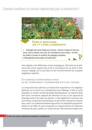 00_001-024-NatureParif_Mise en page 1 21/10/11 10:51 Page10




  Comment améliorer les toitures végétalisées pour la biodiversité ?




                                                                                                                    © Breaking Ground Green Roof
                      ➧
                                            FAUNE ET MICRO-FAUNE :
                                            LES « + » POUR LA BIODIVERSITÉ

                              ● Aménager des zones-refuge pour la faune : nichoirs à oiseaux et chauves-
                              souris, abris à insectes, bois mort, etc. Diversifier les micro-milieux : la forme,
                              les strates, la hauteur du substrat, les typologies de plantes.
                              L’hétérogénéité est favorable à la biodiversité !


                            sité végétale crée différentes niches écologiques. Elle favorise la pré-
                            sence des micro-organismes et de la microfaune du sol, dont le rôle,
                            souvent négligé, est crucial dans le bon fonctionnement du complexe
                            végétation-substrat.


                            UN SUBSTRAT SUFFISAMMENT ÉPAIS
                            ET DE COMPOSITION À RAPPROCHER D’UN SOL NATUREL

                            La composition du substrat a un impact très important sur les végétaux
                            présents sur le toit et sur la biodiversité qu’il héberge. Il doit en outre
                            posséder un certain nombre de propriétés physiques. Le substrat idéal
                            doit allier une bonne capacité de rétention en eau à une capacité de
                            drainage évitant de noyer les plantes. Il doit également conserver les
                            nutriments, ne pas être trop lourd pour le toit et être résistant à l’érosion
                            (eau, vent). Les substrats existant aujourd’hui ne répondent que partiel-
                            lement à cet idéal. Ils sont composés en majeure partie de matériaux
                            minéraux de gros calibre, en raison de leur rôle drainant malgré leur


   10 Réaliser des toitures végétalisées favorables à la biodiversité
 