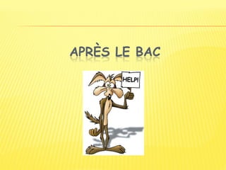 APRÈS LE BAC
 