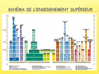 SCHÉMA DE L’ENSEIGNEMENT SUPÉRIEUR
 