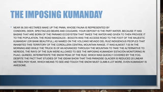 THE IMPOSING KUMANDAY
• NEAR 58.300 HECTARES MAKE UP THE PNNN, WHOSE FAUNA IS REPRESENTED BY
CONDORS, DEER, SPECTACLED BEARS AND COUGARS. YOUR DEPOSIT IS THE PART WATER, BECAUSE IT HAS
BASINS THAT ARE BORN OF THE PARAMO ECOSYSTEM THAT TAKES THE WATER AND GIVEN TO THEN PROVIDE IT
TO THE POPULATION. THE ROAD MANIZALES - BOGOTA WAS THE ACCESS ROAD TO THE FOOT OF THE MAJESTIC
KUMANDAY (OR BANK BEAUTIFUL), AS NAMED ON THE VOLCANO NEVADO DEL RUIZ INDIGENOUS PEOPLES THAT
INHABITED THIS TERRITORY OF THE CORDILLERA CENTRAL MOUNTAIN RANGE. IT WAS ALMOST 7:00 IN THE
MORNING AND WHILE THE TRUCK IS OF AN ADVANCED THROUGH THE MOUNTAIN TO TAKE THE ALTERNATIVE TO
NEREIDS, THE RAYS OF THE SUN WERE ALLOWED TO SEE THE IMPOSING KUMANDAY ESTACIÓN MONITORING IN
PIJAO, QUINDÍO. INTERMITENTE THE SNOW PEAK OF THE RUIZ, WHICH WAS QUICKLY COVERED BY THE FOG.
DESPITE THE FACT THAT STUDIES OF THE IDEAM SHOW THAT THIS PARADISE GLACIER IS REDUCED 20 LINEAR
METRES PER YEAR, WHICH MEANS TO SEE AND TOUCH THE SNOW MUST CLIMB A LOT MORE, EVEN KUMANDAY IS
AWESOME.
 