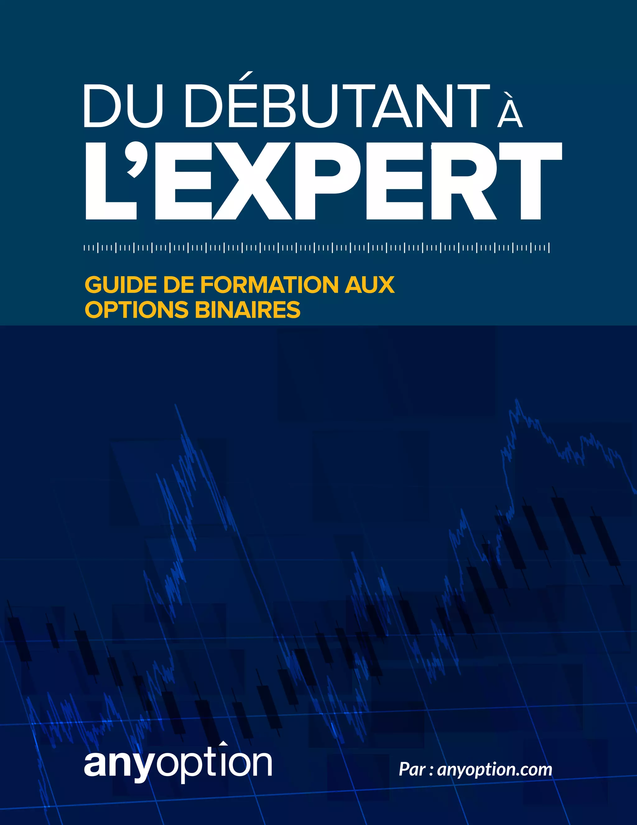 Guide de Trading Options Binaires | PDF