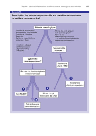 Chapitre 7. Exploration des maladies neuromusculaires et neurologiques auto-immunes	105
Synopsis XI
Prescription des autoanticorps associés aux maladies auto-immunes
du système nerveux central
Recherche d’anti-antigènes
onco-neuronaux
Atteinte neurologique
Installation subaiguë
LCR inflammatoire
( protéinorachie)
IRM, EMG
Anti-antigènes
onco-neuronaux
IFI sur coupe
de cervelet de singe
1
2
3
Recherche
d’anti-NMO
Atteinte des nerfs optiques
et de la moelle spinale
Âge  40 ans
IRM encéphalique normale
LCR : pas de bandes oligoclonales
Sévérité des poussées +++
Neuromyélite
optique ?
Syndrome
paranéoplasique ?
Troubles de la conscience
Manifestations psychiatriques
Troubles de l’équilibre
Dystonies
Syndrome myasthéniforme
de Lambert-Eaton
2
Recherche
d’anti-aquaporine 4
Anti-NMDAr
 