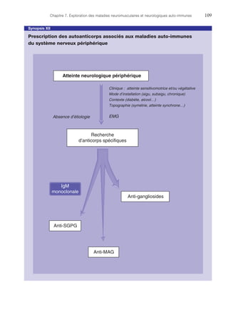 Chapitre 7. Exploration des maladies neuromusculaires et neurologiques auto-immunes	109
Synopsis XII
Prescription des autoanticorps associés aux maladies auto-immunes
du système nerveux périphérique
Recherche
d’anticorps spécifiques
Atteinte neurologique périphérique
Anti-gangliosides
Anti-SGPG
Clinique : atteinte sensitivomotrice et/ou végétative
Mode d’installation (aigu, subaigu, chronique)
Contexte (diabète, alcool…)
Topographie (symétrie, atteinte synchrone…)
EMG
Anti-MAG
Absence d’étiologie
IgM
monoclonale
 