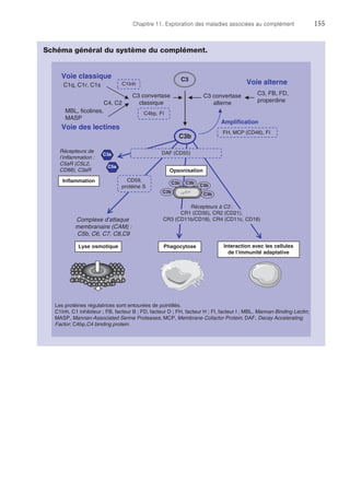 Chapitre 11. Exploration des maladies associées au complément	155
Schéma général du système du complément.
C3
C3b
C3, FB, FD,
properdine
Amplification
Voie des lectines
Voie classique
Interaction avec les cellules
de l’immunité adaptative
Phagocytose
Inflammation
Lyse osmotique
Complexe d’attaque
membranaire (CAM) :
C5b, C6, C7, C8,C9
C3a
C5a
MBL, ficolines,
MASP
C1q, C1r, C1s Voie alterneC1Inh
C4bp, FI
FH, MCP (CD46), FI
DAF (CD55)
CD59,
protéine S
Opsonisation
Récepteurs de
l’inflammation :
C5aR (C5L2,
CD88), C3aR
C3 convertase
alterne
C3 convertase
classique
Récepteurs à C3 :
CR1 (CD35), CR2 (CD21),
CR3 (CD11b/CD18), CR4 (CD11c, CD18)
Les protéines régulatrices sont entourées de pointillés.
C1Inh, C1 inhibiteur ; FB, facteur B ; FD, facteur D ; FH, facteur H ; FI, facteur I ; MBL, Mannan Binding Lectin;
MASP, Mannan-Associated Serine Proteases; MCP, Membrane Cofactor Protein; DAF, Decay Accelerating
Factor; C4bp,C4 binding protein.
C3b
C3b
C3b
C3b
C3b
C4, C2
 