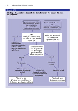 218	 Exploration de l’immunité cellulaire
Synopsis XVIII
Stratégie diagnostique des déficits de la fonction des polynucléaires
neutrophiles
Signes évocateurs du déficit :
infections graves et répétées
attention au germe
et à la localisation
très utiles pour l’orientation
Retard de chute du cordon
ou
suspicion forte de déficit des
molécules d’adhérence (LAD)
NFS
Dosage pondéral des Ig
Fractions du complément
Cytologie
Neutropénie
Déficit humoral
Déficit du complément
Déficit en MPO
Déficit en granulations
spécifiques
Anormal
Étude fonctionnelle
des PN par tests
de dépistage :
production des
FRO, mouvement
AnormalAnormal
FRO diminuées
 20 % : suspicion de
granulomatose septique
familiale
20-60 % :
répéter le test
Évoquer la probabilité
d’une désensibilisation
Déficit acquis ?
Mouvement
diminué
Suspicion de LAD
Répéter le test
Recherche génétique
Étude des molécules
d’adhérence en
cytométrie en flux
Répéter le test
Western blot (identification)
Recherche génétique (mutation)
 