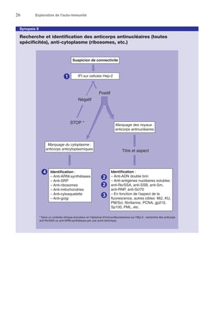 26	 Exploration de l'auto-immunité
Synopsis II
Recherche et identification des anticorps antinucléaires (toutes
spécificités), anti-cytoplasme (ribosomes, etc.)
Suspicion de connectivite
IFI sur cellules Hep-2
Négatif
STOP *
Positif
Marquage des noyaux :
anticorps antinucléaires
Titre et aspect
Identification :
– Anti-ADN double brin
– Anti-antigènes nucléaires solubles :
anti-Ro/SSA, anti-SSB, anti-Sm,
anti-RNP, anti-Scl70
– En fonction de l’aspect de la
fluorescence, autres cibles: Mi2, KU,
PM/Scl, fibrillarine, PCNA, gp210,
Sp100, PML, etc.
Marquage du cytoplasme :
anticorps anticytoplasmiques
Identification :
– Anti-ARNt-synthétases
– Anti-SRP
– Anti-ribosomes
– Anti-mitochondries
– Anti-cytosquelette
– Anti-golgi
2
3
1
2
4
* Dans un contexte clinique évocateur en l’absence d’immunofluorescence sur HEp-2 : recherche des anticorps
anti-Ro/SSA ou anti-ARNt synthétases par une autre technique.
 