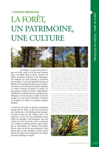 > UNIVERS MÉDOCAIN




                                                                                                                 PRESQU’ÎLE DU MÉDOC, TERRE DE FORÊT
LA FORêT,
UN PATRIMOINE,
UNE CULTURE


             En Médoc, ce qui n’est point vi-       In the Médoc where there are no vines, there’s forest,
gne est forêt, mais il n’en fut pas toujours        but it was not always that way. In the beginning, the
                                                    moors were covered with copses, broom, gorse and
ainsi. Au début était la lande couverte de          marshland. Shepherds on their stilts raised sheep. It
taillis, de genêts, d’ajoncs et de marécages.       was during the reign of Napoleon III that the Médoc
Des bergers sur leurs échasses y élevaient          was gradually changed thanks to the maritime pine,
                                                    considered at the time to be a factor of drainage, im-
des moutons. C’est sous Napoléon III que ce
                                                    provement and civilisation. Planting and cultivation
Médoc-là se transforme grâce au pin mariti-         galore. The gum pine produced turpentine, rosin and
me dont on dit alors qu’il assainit, améliore       terpineol from which synthetic perfumes were made.
et civilise. Partout on plante et cultive. Le       Pine wood lent itself to all kinds of applications, becau-
                                                    se it was easy to work – pit props, telegraph pole etc.
pin gemmé fournit la résine térébenthine,
colophane et terpinol d’où les parfums syn-         At the end of the 19th century and over the first half
thétiques. Le bois de pin se prête à tous les       of the 20th century, the Médoc moorlanders made
                                                    their fortune from their pine trees. The pine forest is
usages car il est facile à travailler, il fournit
                                                    a culture unto itself, where method is all. Pines go
les poteaux de mines, les poteaux télégra-          with production before forming a landscape. Once
phiques.                                            again, nothing here enjoys permanency, but grows or
                                                    disappears according to when the forester decides to
                                                    fell or according to the uncontrollable and destructive
A la fin du 19e siècle et durant la première        assault of wind or fire. The maritime pine, a slim little
moitié du 20e siècle, le pin fera la fortune        soldier, can only stand with its companions in tight
des «land escots», les médocains de la lande.       rows forming a heroic and fragile silvicultural army.
La forêt de pin est une culture, tout y est
méthode. Le pin est une production avant
d’être un paysage. C’est pourquoi, une fois
encore, ici rien n’est fixe, tout se construit
ou se défait au rythme d’une coupe voulue
par le sylviculteur, au rythme incontrôla-
ble du vent ou du feu qui détruisent. Petit
soldat frêle, le pin maritime n’existe qu’au
pluriel en rang serré composant une armée
sylvestre héroïque et fragile.



                                                                              DESTINATION PRESQU’ÎLE             / 11
 