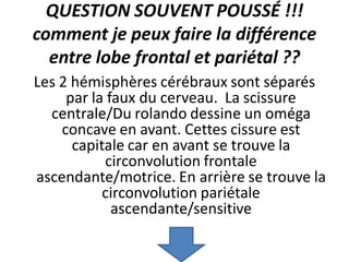QUESTION SOUVENT POUSSÉ !!!
comment je peux faire la différence
entre lobe frontal et pariétal ??
Les 2 hémisphères cérébraux sont séparés
par la faux du cerveau. La scissure
centrale/Du rolando dessine un oméga
concave en avant. Cettes cissure est
capitale car en avant se trouve la
circonvolution frontale
ascendante/motrice. En arrière se trouve la
circonvolution ﻿pariétale
ascendante/sensitive
 