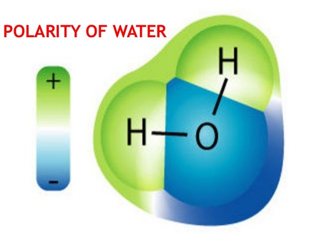 biochem 1 properties of water polarity of water