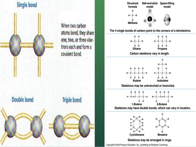 4 types of macromolecules