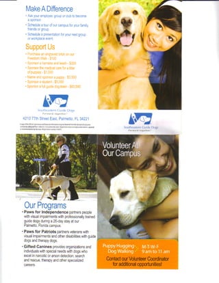 Guide Dog Puppies Info