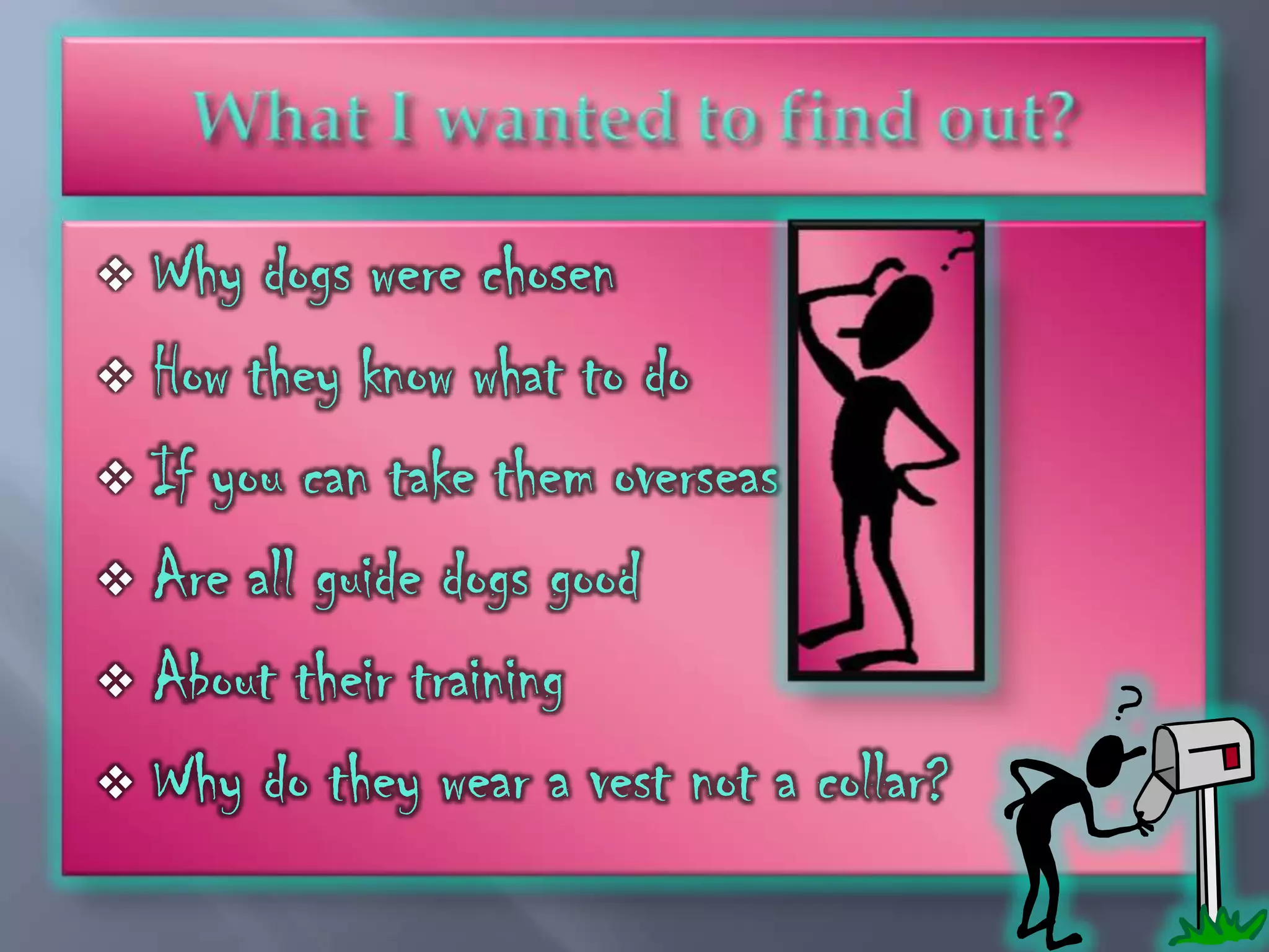  Why dogs were chosen
 How they know what to do

 If you can take them overseas

 Are all guide dogs good

 About their training

 Why do they wear a vest not a collar?
 